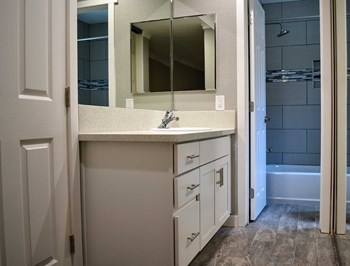 Bathroom vanity with mirror and shower